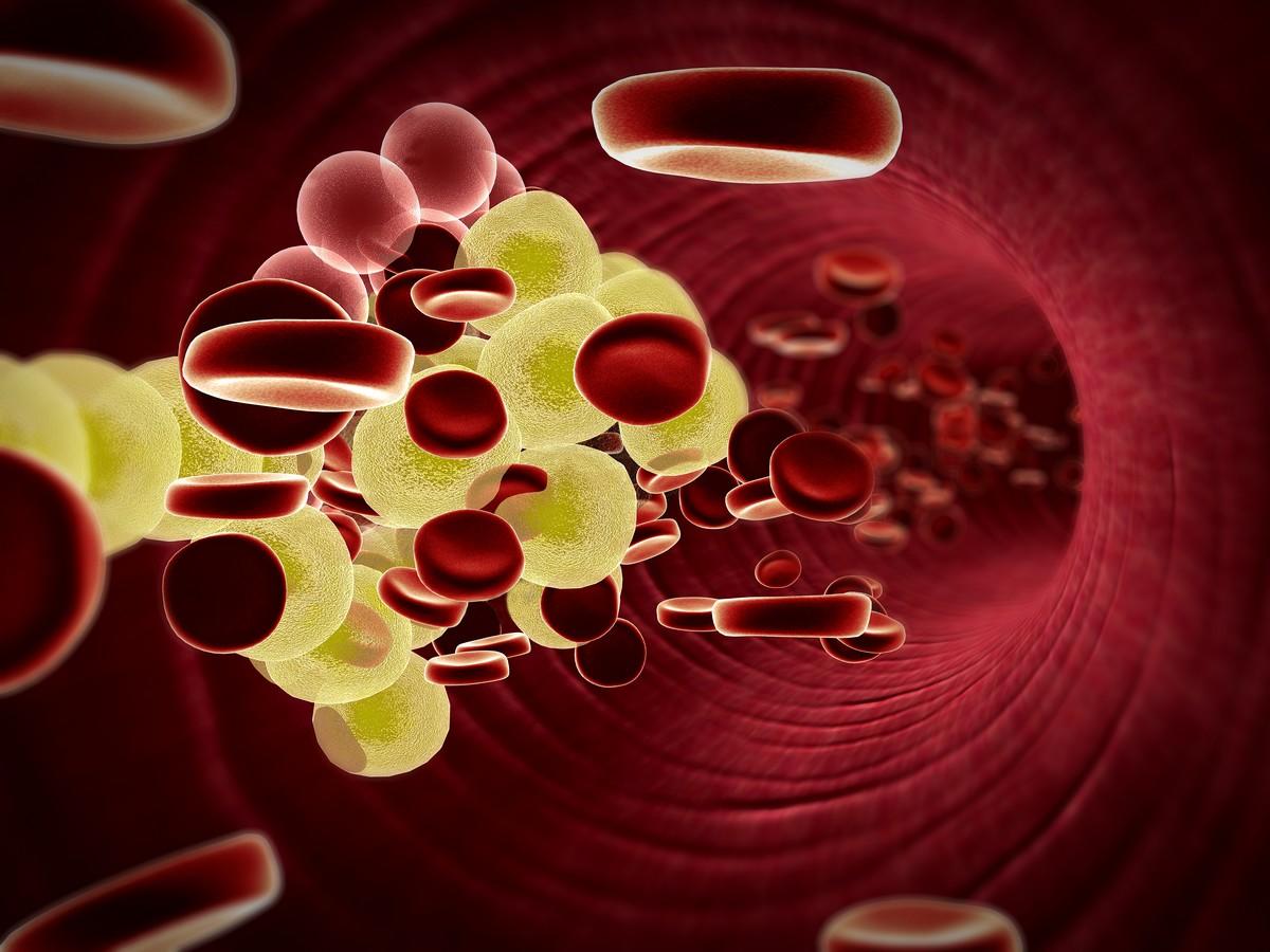 fat cell and erythrocyte in the blood, inside the blood vessel, high quality cholesterol in a blood