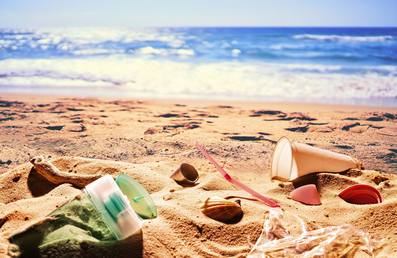 <strong>Les mers chaudes et polluées peuvent aussi provoquer la contamination</strong>