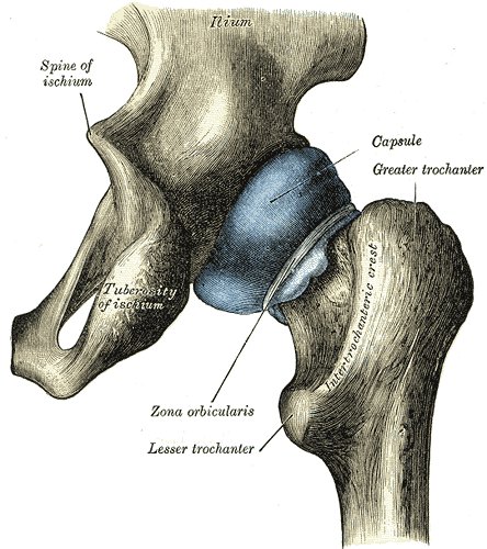 Définition