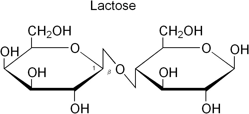 Définition de l'intolérance au lactose