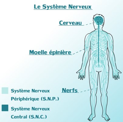 Qui, quand consulter ?