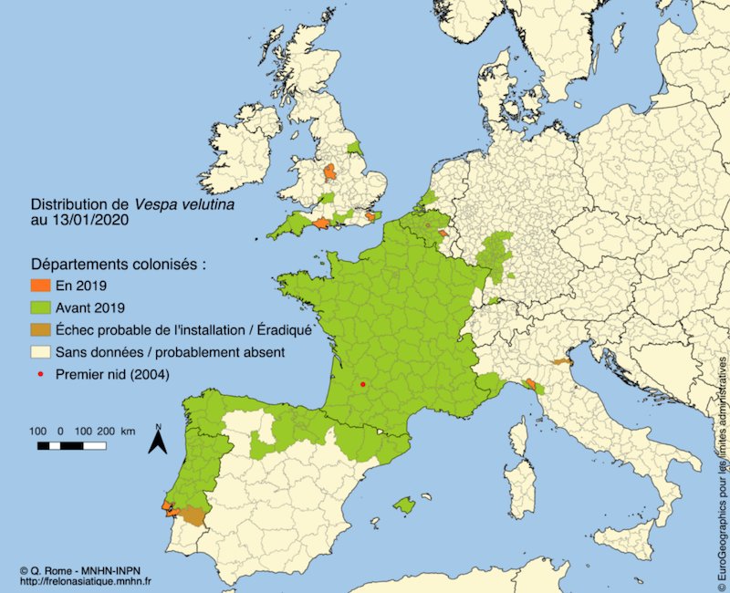 Carte 2020 de la présence du frelon asiatique en France