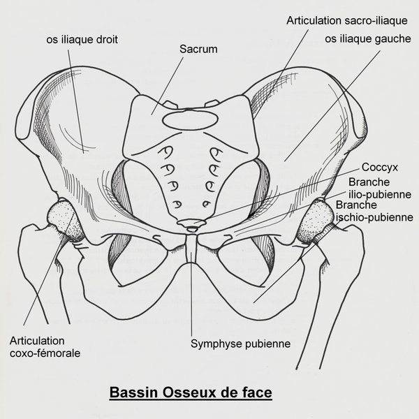 Qu'est-ce que la sacro iliite ?