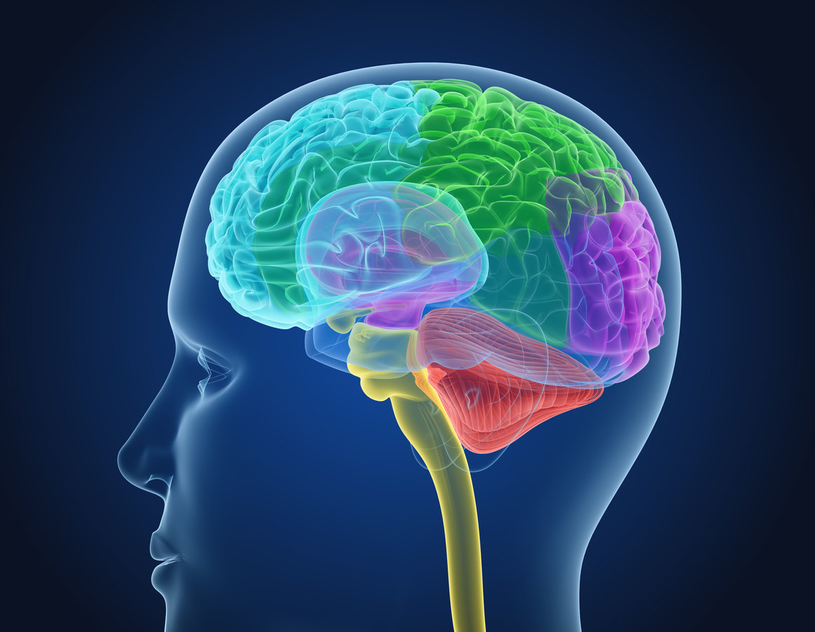 Misophonie : quelles sont les causes ?