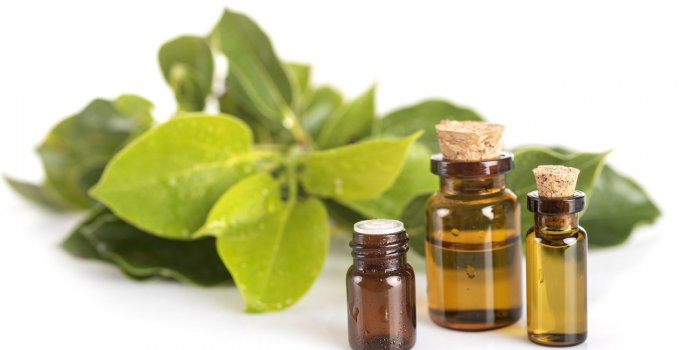 8 huiles essentielles antivirales Ã  diffuser chez soi en urgence !