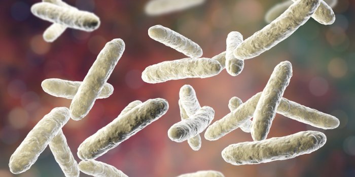 12 astuces naturelles pour ne pas tomber malade
