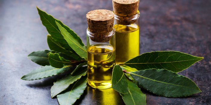 8 huiles essentielles antivirales Ã  diffuser chez soi en urgence !