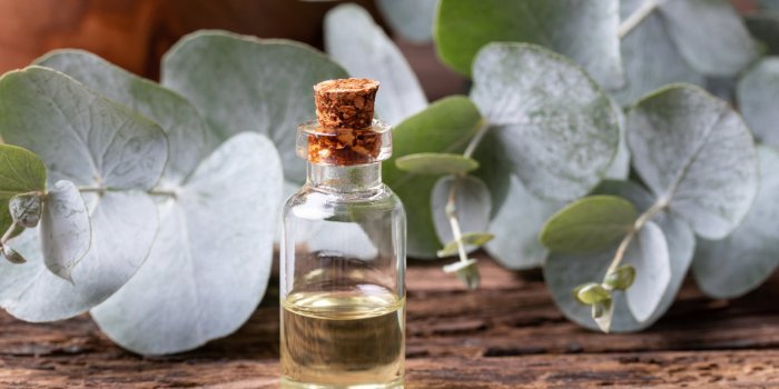 8 huiles essentielles antivirales Ã  diffuser chez soi en urgence !
