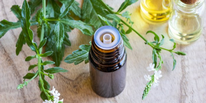 5 huiles essentielles pour se dÃ©tendre