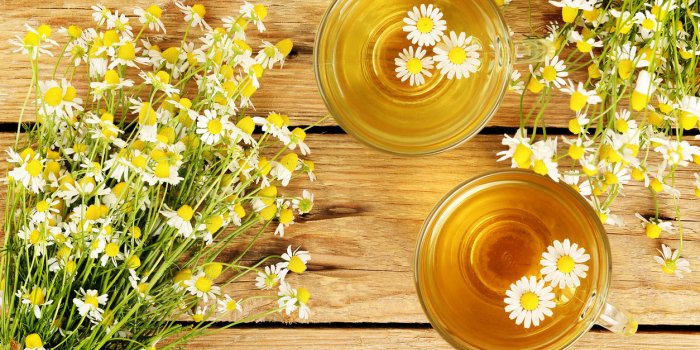 5 huiles essentielles pour se dÃ©tendre