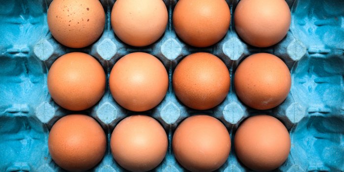 Comment conserver ses aliments plus longtemps ?