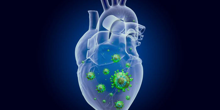 Covid-19 : ce que vous risquez si vous avez des problÃ¨mes cardiovasculaires