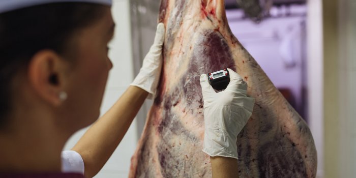 Clusters dans les abattoirs : peut-on manger de la viande sans attraper le Covid-19 ?