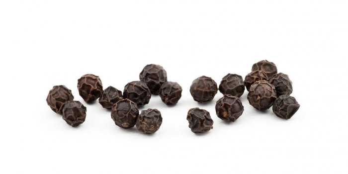 7 rÃ©pulsifs naturels pour faire fuir les chats 
