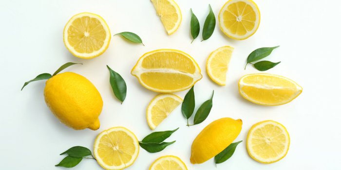 7 rÃ©pulsifs naturels pour faire fuir les chats 