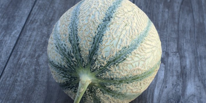 Melon : 8 astuces pour bien le choisir !