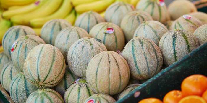 Melon : 8 astuces pour bien le choisir !