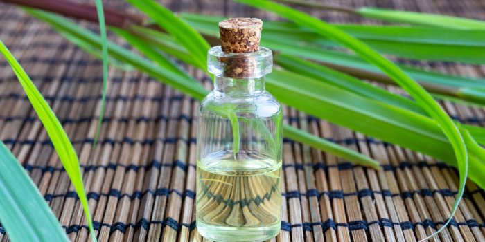Moustiques : 6 astuces pour ne pas se faire piquer la nuit