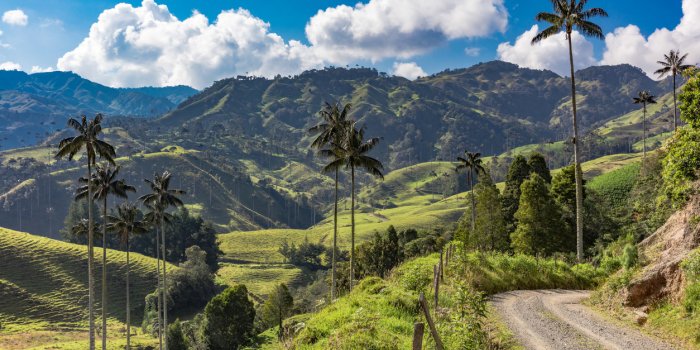 Covid-19 : les pays qui se reconfinent 