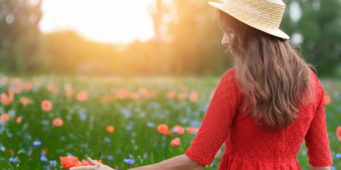 GuÃªpes, moustiques, abeilles... Les couleurs de vÃªtements qui les attirent !