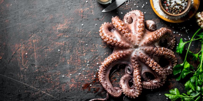 Les 20 plats les plus dangereux au monde