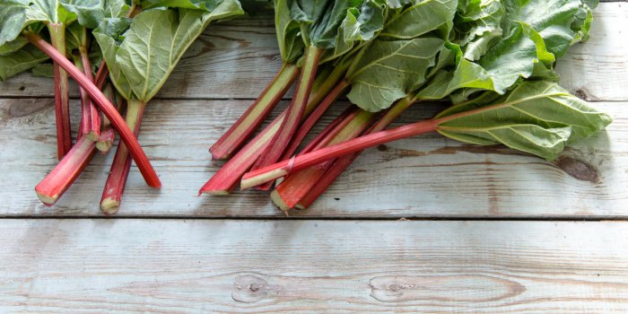 Les 20 plats les plus dangereux au monde
