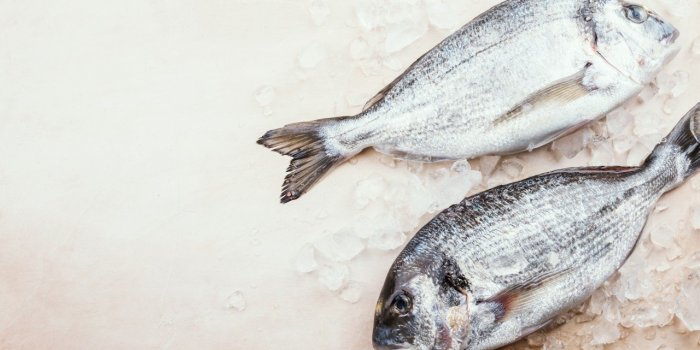 Poisson : 5 signes qui prouvent qu'il n'est pas frais