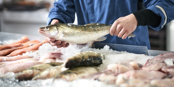 Poisson : 5 signes qui prouvent qu'il n'est pas frais