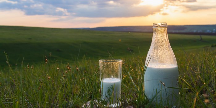 Le top 7 des aliments qui aident Ã  dormir 