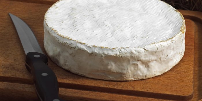 Le top 10 des fromages les moins caloriques