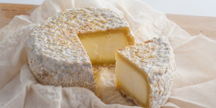Le top 10 des fromages les moins caloriques