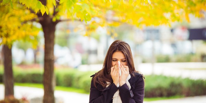 Nez qui gratte : une allergie Ã  coup sÃ»r