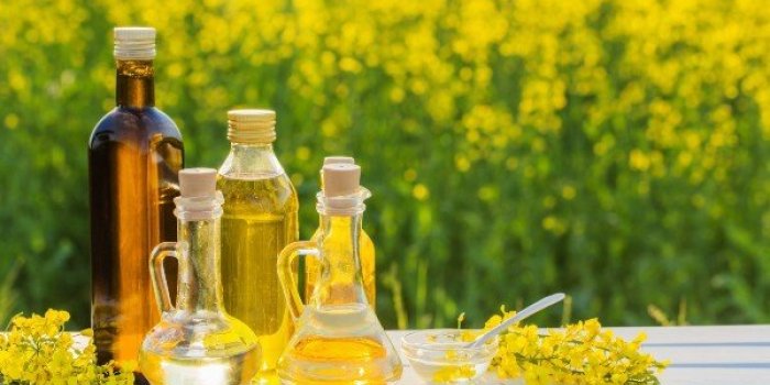 OstÃ©oporose : les aliments qui protÃ¨gent