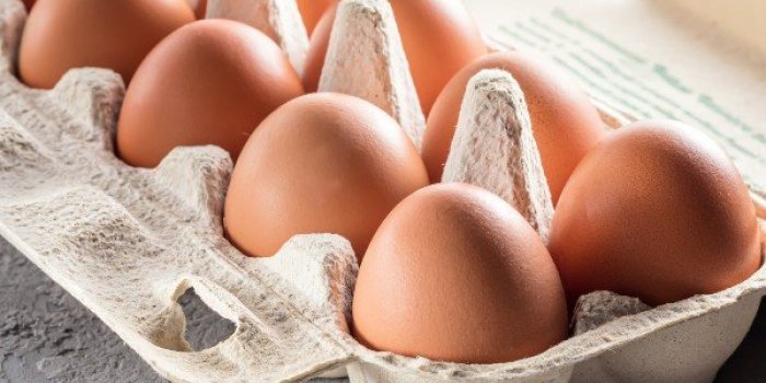 OstÃ©oporose : les aliments qui protÃ¨gent