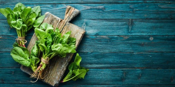 OstÃ©oporose : les aliments qui protÃ¨gent