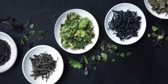 OstÃ©oporose : les aliments qui protÃ¨gent