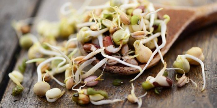 OstÃ©oporose : les aliments qui protÃ¨gent