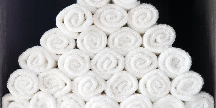 BactÃ©ries : les pires objets de la salle de bain selon un infectiologue 