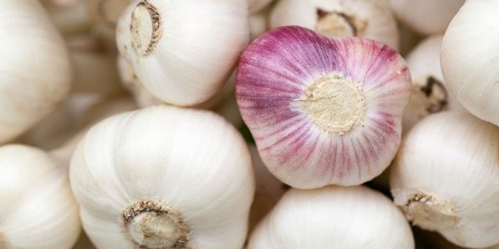 PyÃ©lonÃ©phrite : quels traitements naturels ?