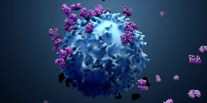 Sommeil, digestion, perte de poids : dîner plus tôt est une aubaine pour la santé