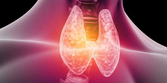 Cholestérol : quels sont les effets indésirables des statines ?
