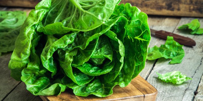Les 20 meilleurs aliments anti-rides