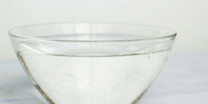 Fruits de mer : nos astuces pour savoir s'ils sont bien frais