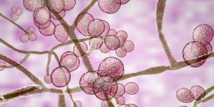 PÃ©nurie de mÃ©dicaments : la liste des traitements en rupture de stock