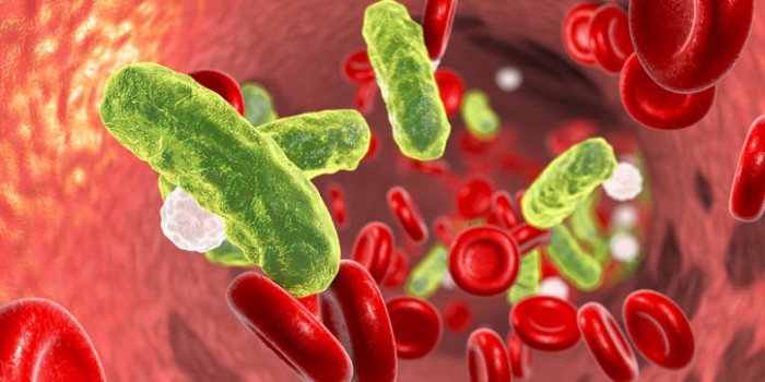 Infection nosocomiale : ces maladies qu'on attrape à l'hôpital