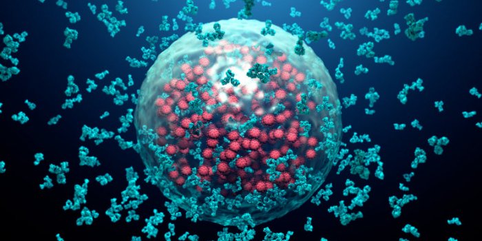 Vaccin Pfizer : les effets indésirables observés en France par l'ANSM