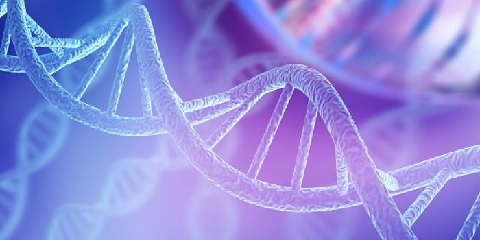 Cancer du pancréas : 11 causes auxquelles on ne pense pas