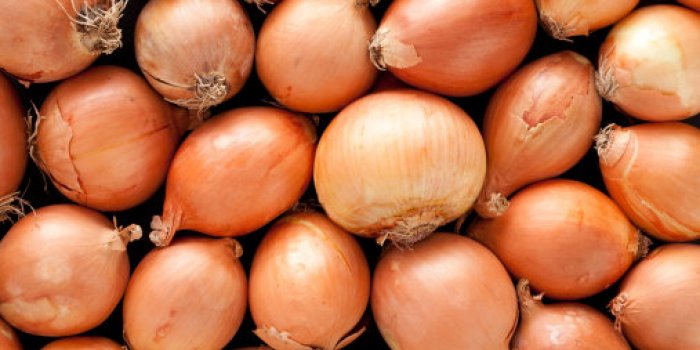 18 aliments pour faire diminuer la tension artÃ©rielle