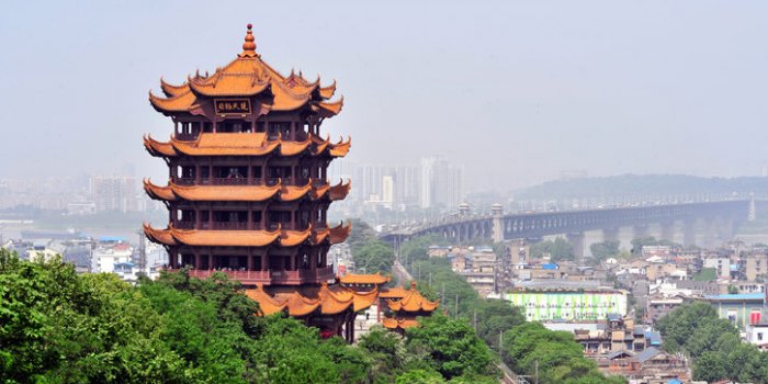 31 décembre 2019 : une nouvelle forme de pneumonie virale en Chine