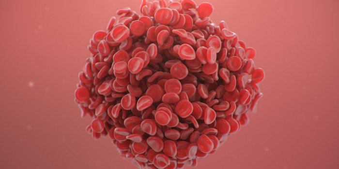 Vaccin Pfizer : les effets indésirables observés en France par l'ANSM